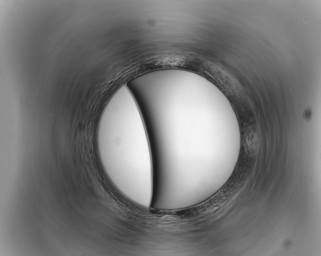 X0000099300551200805020759