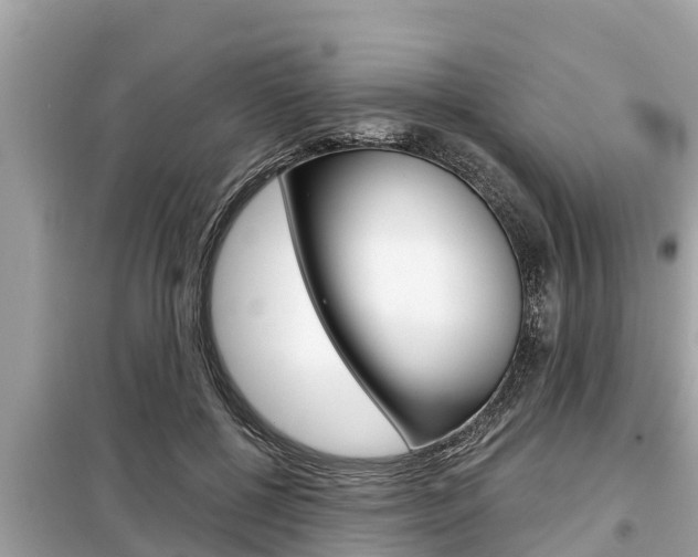 X0000099300552200805020759