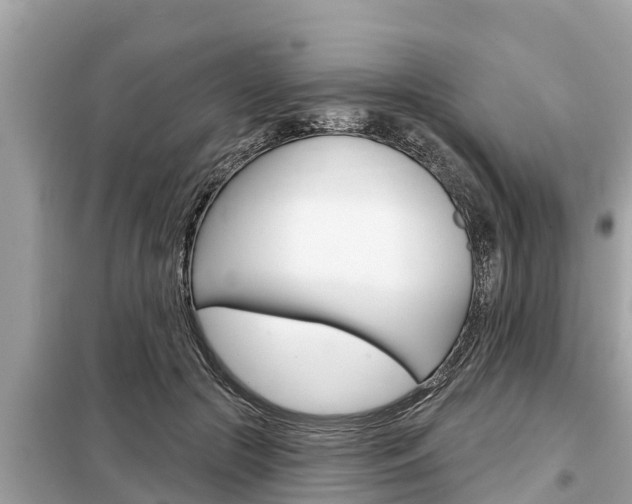 X0000099300553200805020759