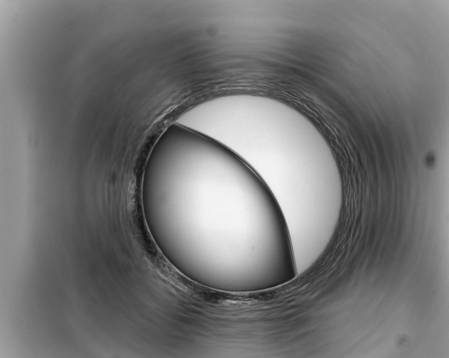 X0000099300556200805020800
