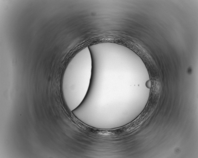 X0000099300557200805020800