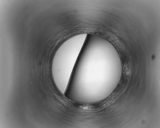 X0000099300564200805020800