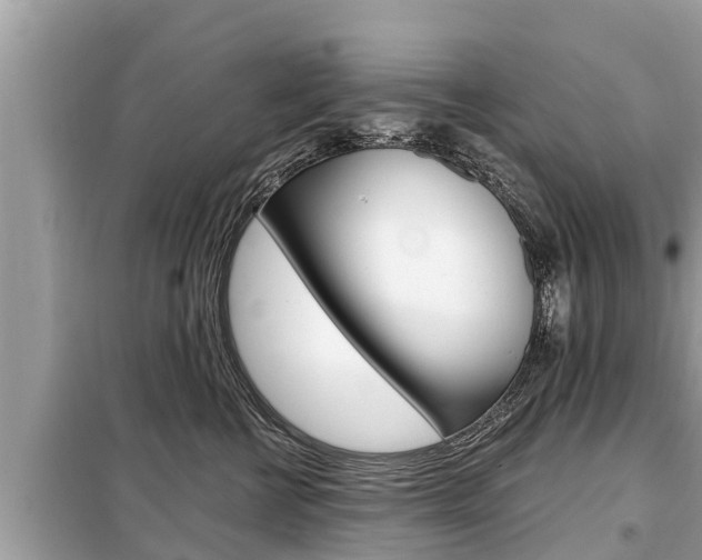 X0000099300570200805020800