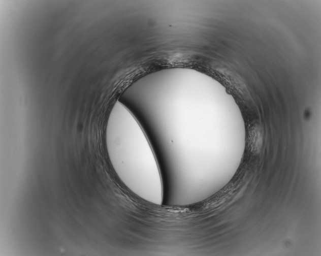 X0000099300571200805020800
