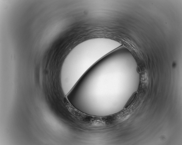 X0000099300572200805020800