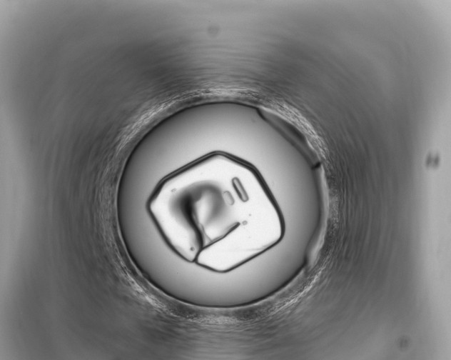 X0000099300577200805020759