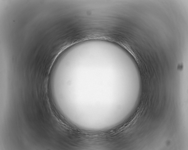 X0000099300579200805020759