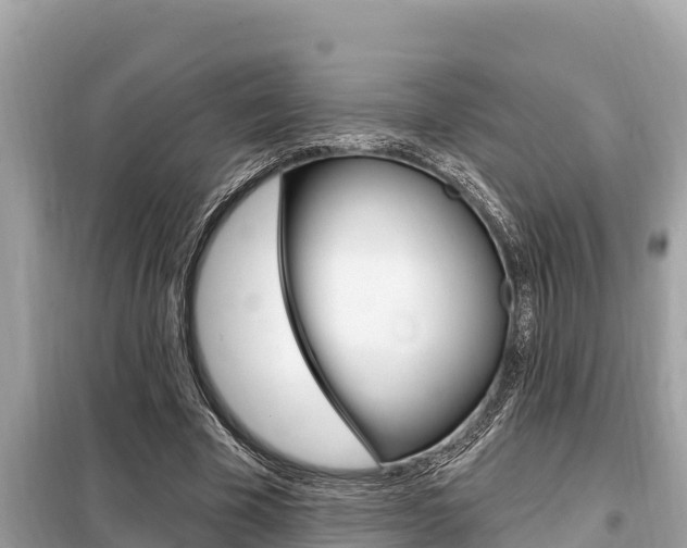 X0000099300585200805020759