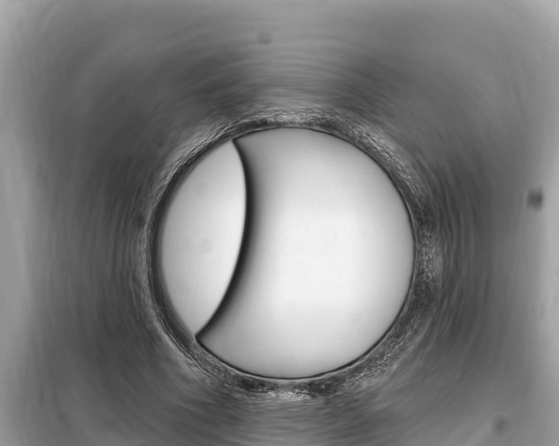 X0000099300586200805020759