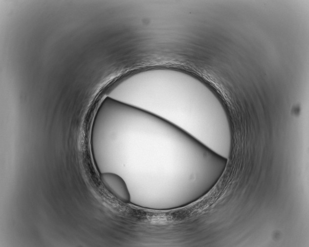 X0000099300587200805020759