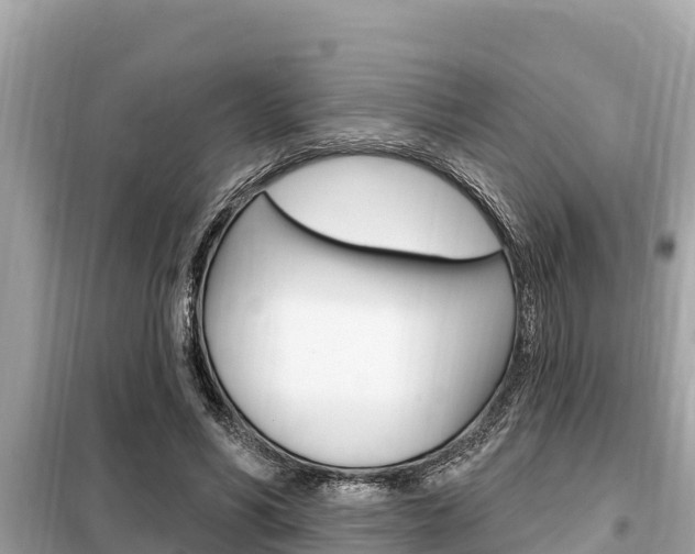 X0000099300590200805020759