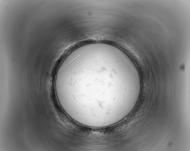 X0000099300592200805020759