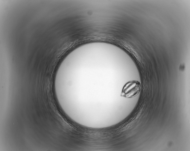 X0000099300593200805020759