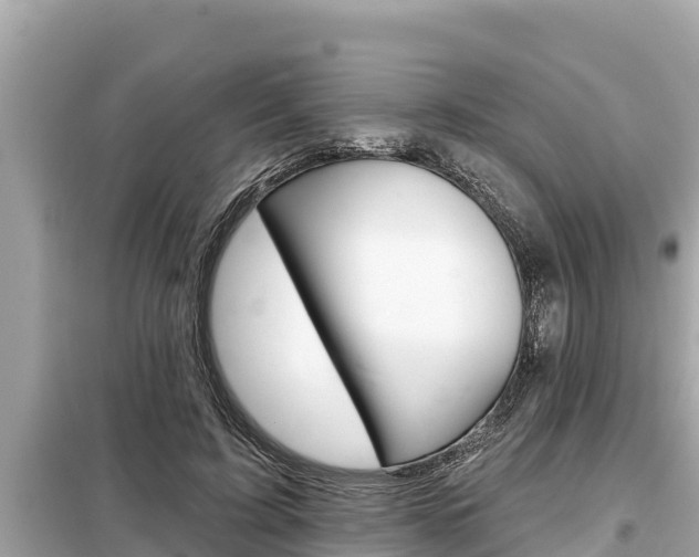 X0000099300595200805020759