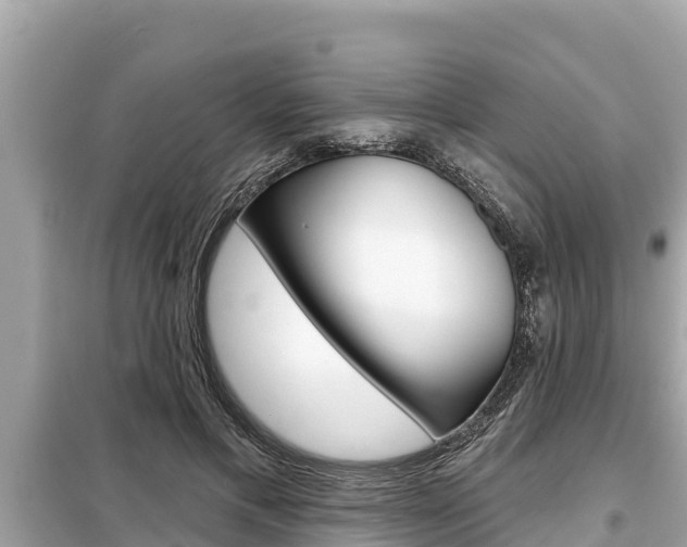 X0000099300597200805020759