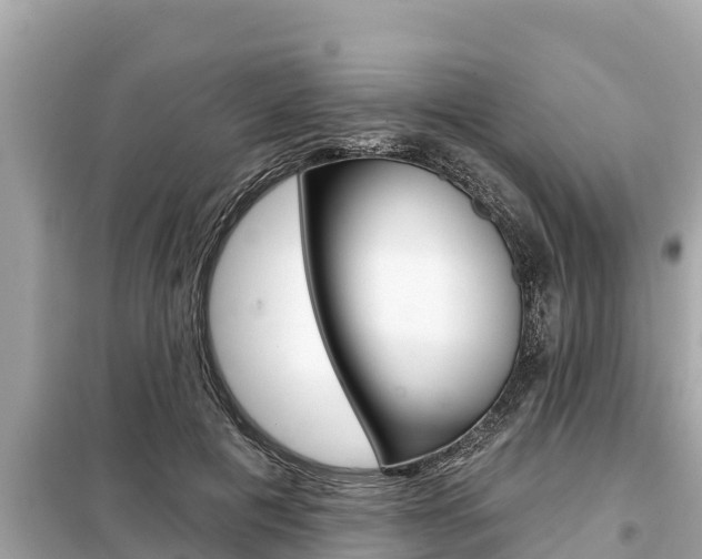 X0000099300601200805020759