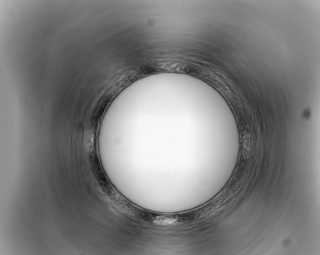 X0000099300602200805020759