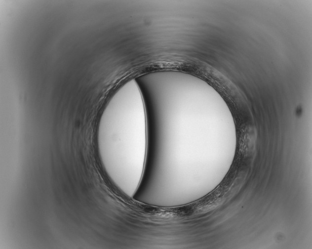 X0000099300604200805020759