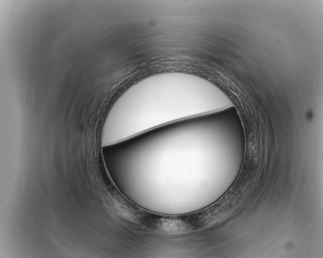 X0000099300605200805020759