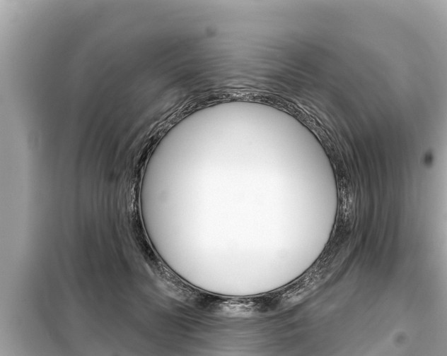 X0000099300606200805020759