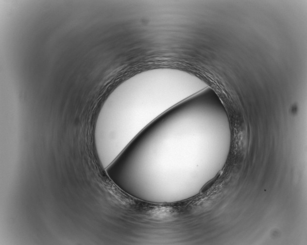 X0000099300609200805020758