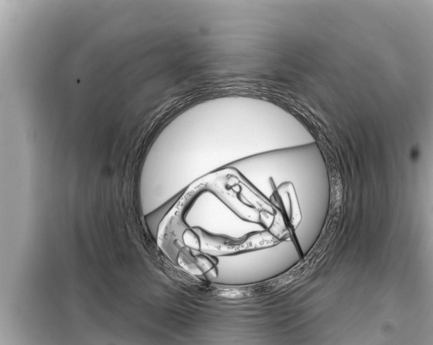 X0000099300611200805020758