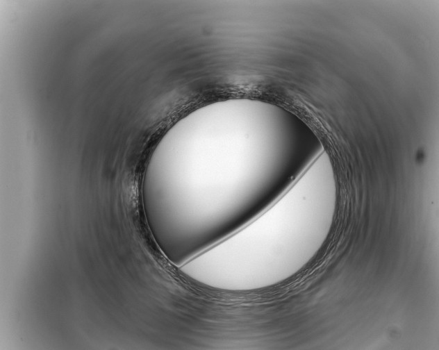 X0000099300613200805020758