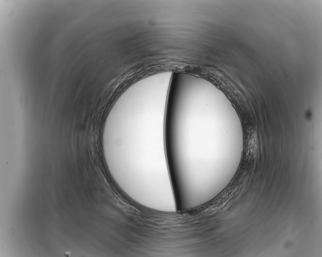 X0000099300616200805020758