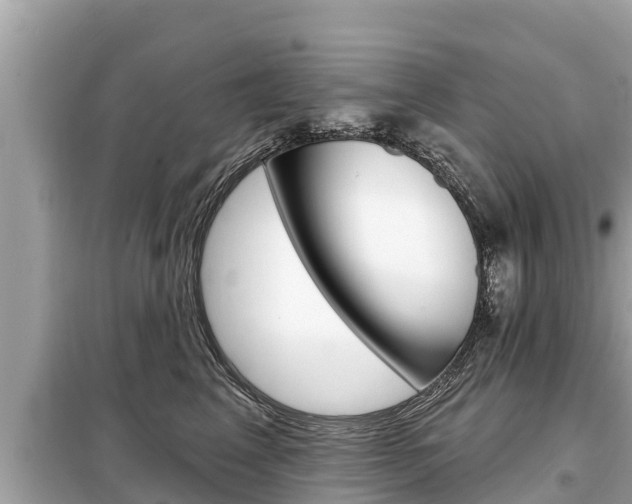 X0000099300617200805020758