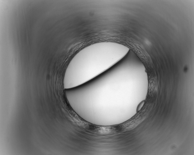 X0000099300623200805020758