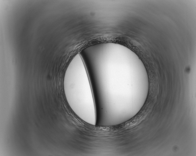 X0000099300624200805020758