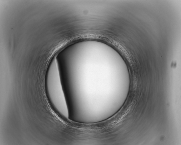 X0000099300625200805020757