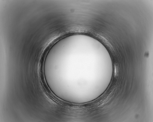 X0000099300627200805020757