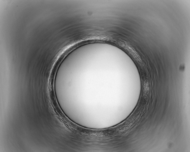 X0000099300628200805020757