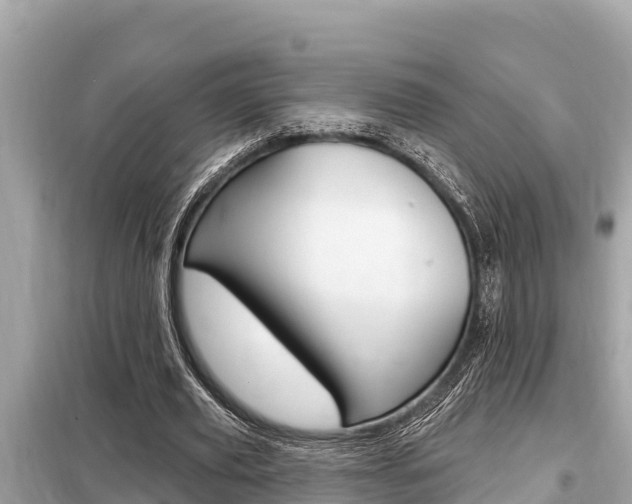 X0000099300629200805020757
