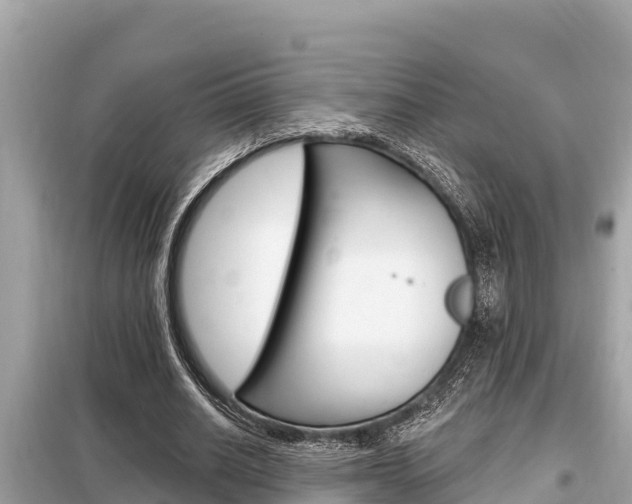 X0000099300630200805020757