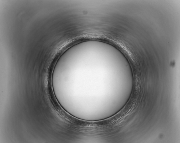X0000099300631200805020757