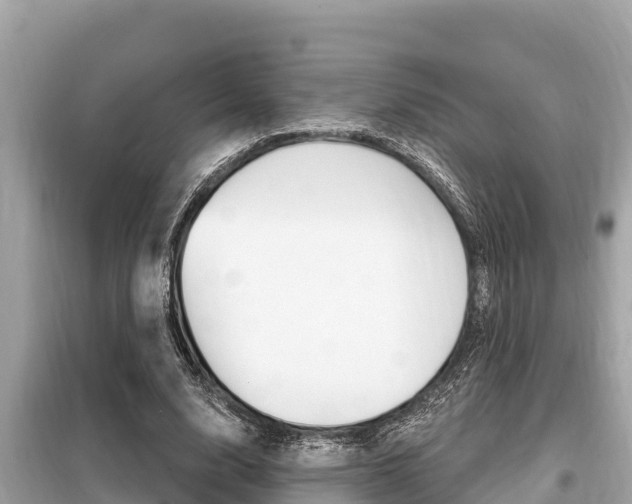 X0000099300632200805020757