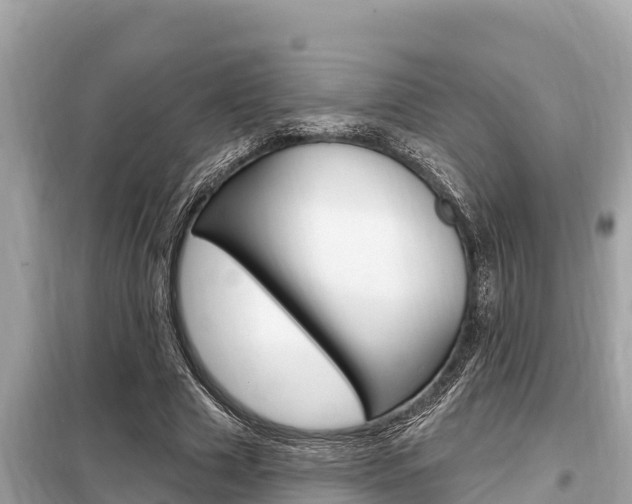 X0000099300633200805020757