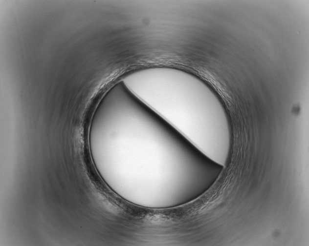 X0000099300634200805020757