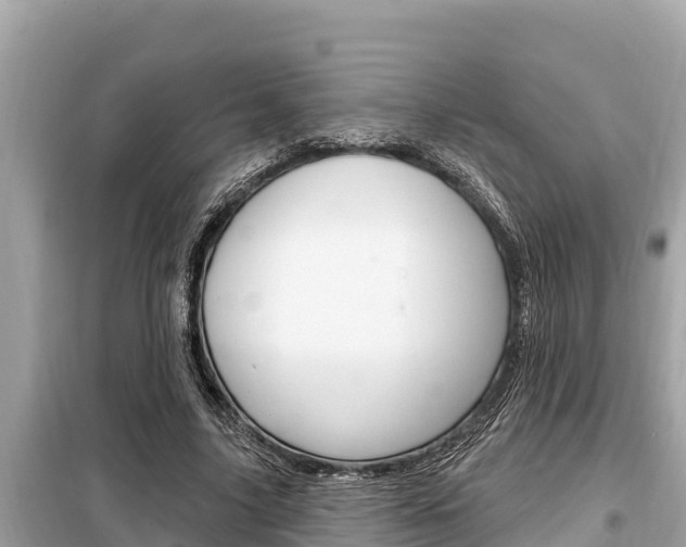 X0000099300635200805020757