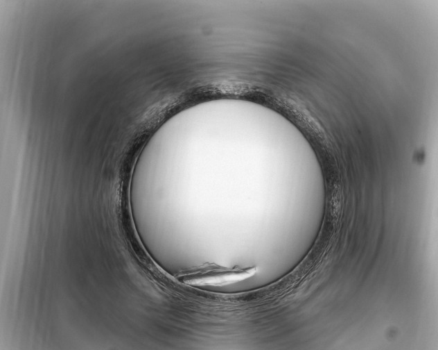 X0000099300639200805020758