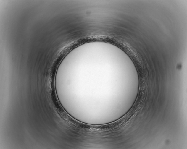 X0000099300640200805020758