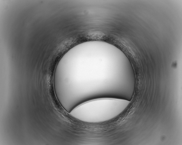 X0000099300641200805020758