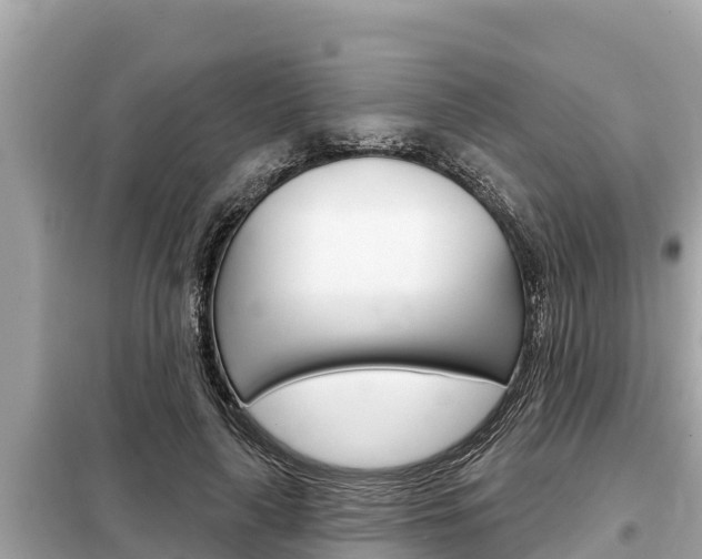 X0000099300643200805020758