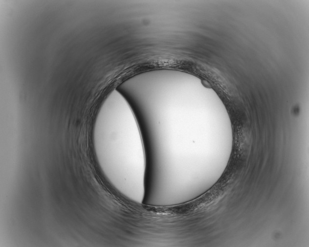 X0000099300645200805020758