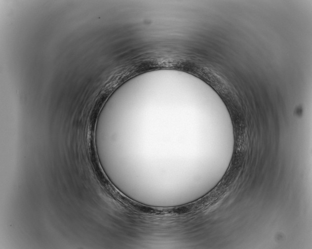X0000099300646200805020758
