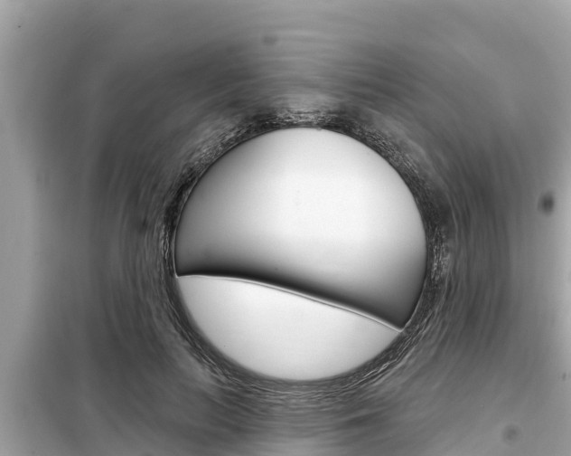 X0000099300647200805020758