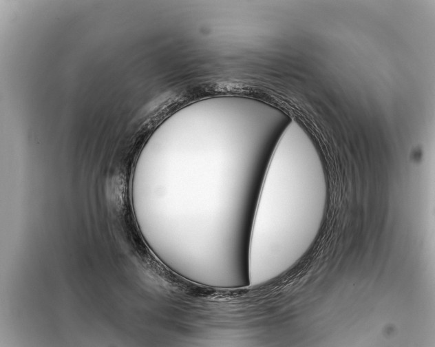 X0000099300648200805020758