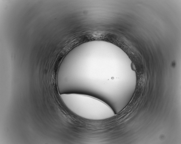 X0000099300651200805020758